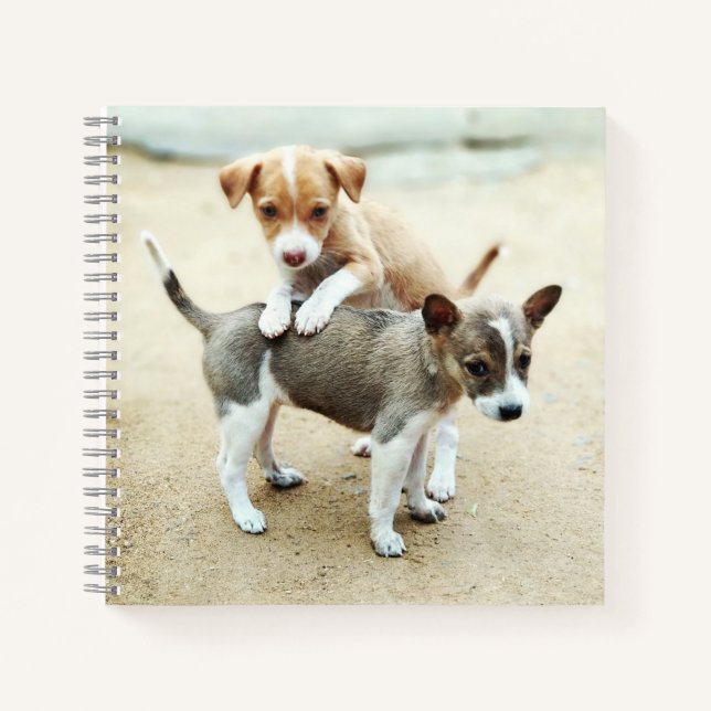 Cuaderno Cachorros Adorables Jugando en la Playa (Anverso)