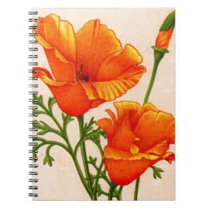 Cuaderno Cachorros de amapola californiana en naranja