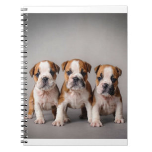 Cuaderno Cachorros de Bulldog cúrcuitos   Regalo de los ama