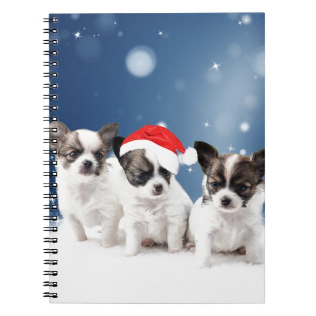 Cuaderno Cachorros de Chihuahua con Navidades de Santa Hat (Frente)