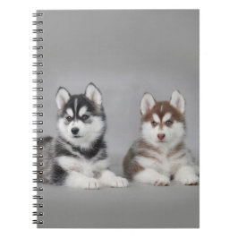 Cuaderno cachorros de husky siberiano
