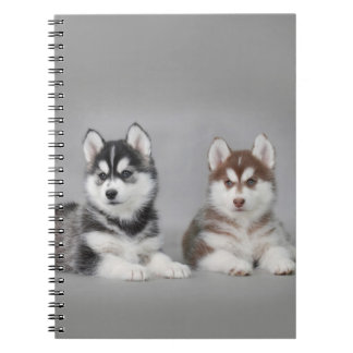Cuaderno cachorros de husky siberiano