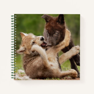 Cuaderno Cachorros de Lobo Gris Luchando
