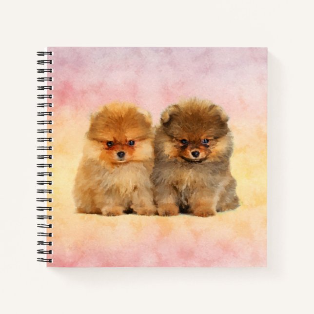 Cuaderno Cachorros espitz alemanes de pura Pomerania (Anverso)
