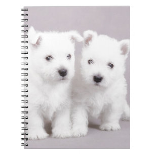 Cuaderno Cachorros occidentales