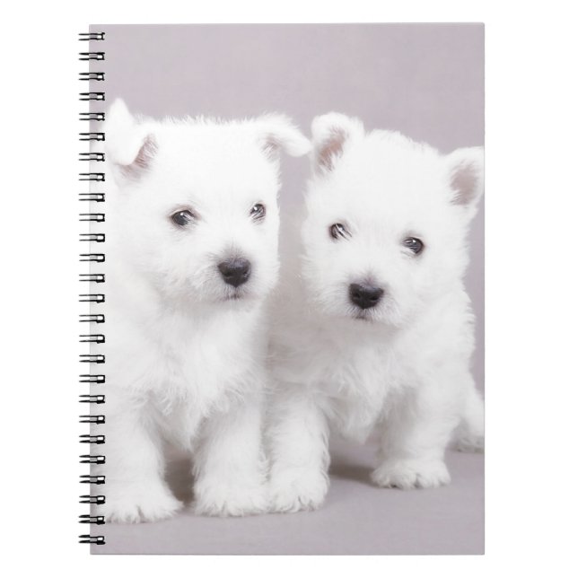 Cuaderno Cachorros occidentales (Frente)