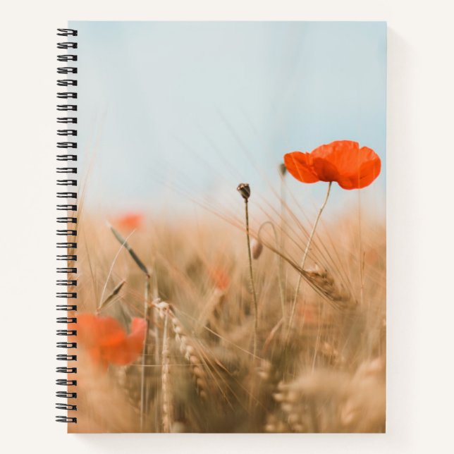Cuaderno Cachorros rojos y cebada de oro (Anverso)