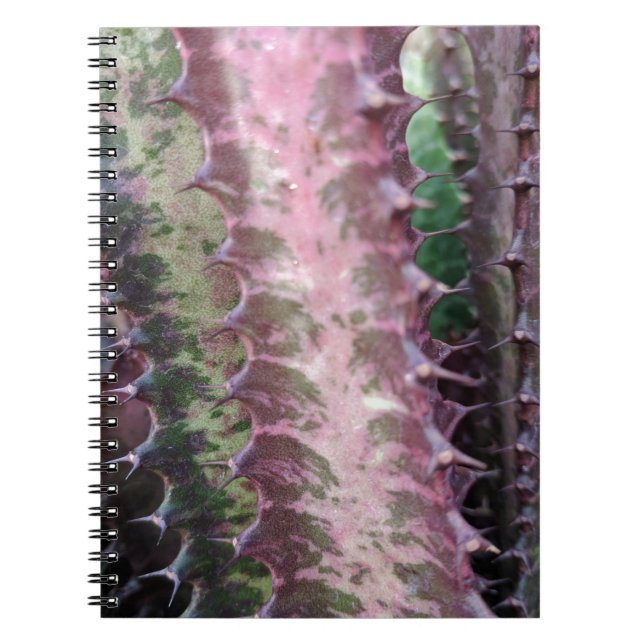 Cuaderno Cactus (Frente)