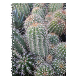 Cuaderno Cactus