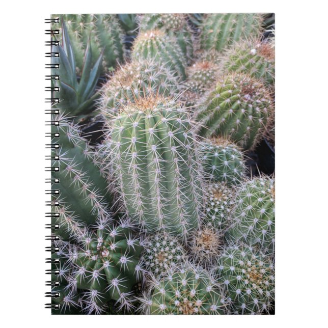 Cuaderno Cactus (Frente)