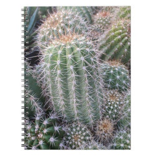 Cuaderno Cactus