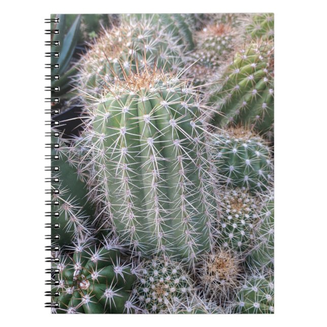 Cuaderno Cactus (Frente)