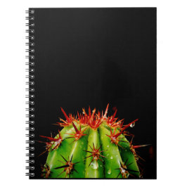 Cuaderno Cactus