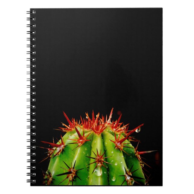 Cuaderno Cactus (Frente)