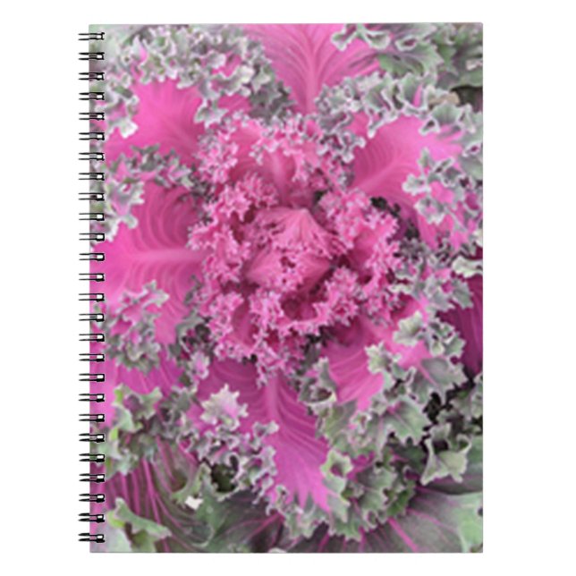 Cuaderno Cactus (Frente)