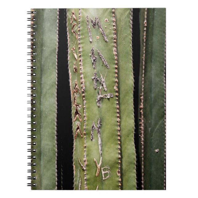 Cuaderno Cactus (Frente)
