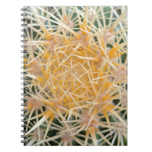 Cuaderno Cactus