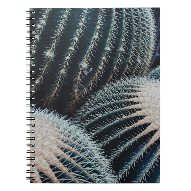 Cuaderno Cactus (Frente)
