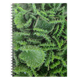 Cuaderno Cactus
