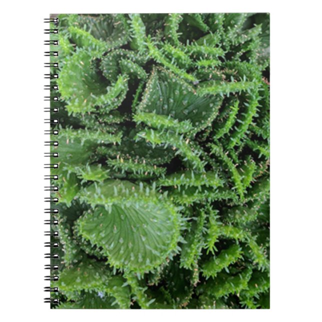Cuaderno Cactus (Frente)