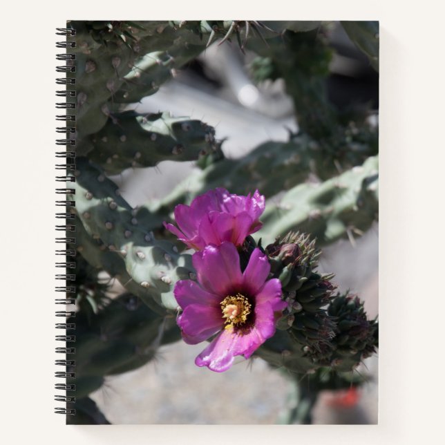 Cuaderno Cactus Cholla en flor (Anverso)