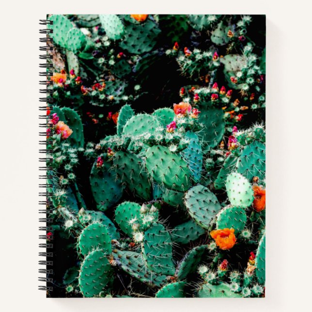 Cuaderno Cactus College Notebook (Anverso)