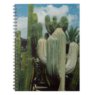 Cuaderno Cactus de Arizona