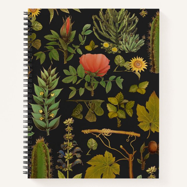 Cuaderno Cactus de naturaleza verde (Anverso)