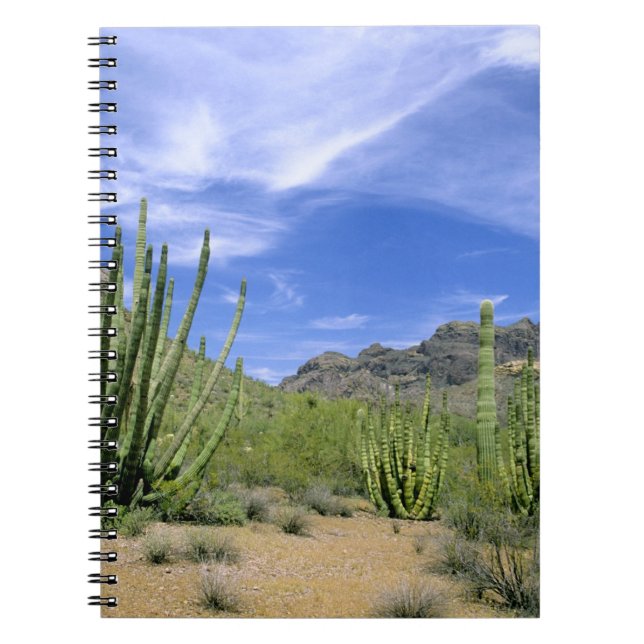 Cuaderno Cactus del desierto en el Monumento Nacional de la (Frente)