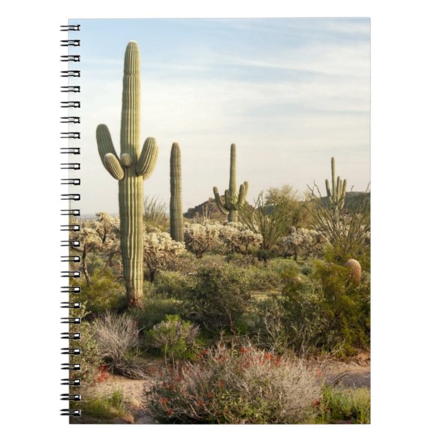 Cuaderno Cactus del Saguaro, Arizona, los E.E.U.U. (Frente)