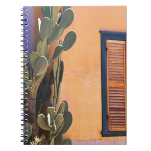 Cuaderno Cactus del suroeste (Opuntia dejecta) y