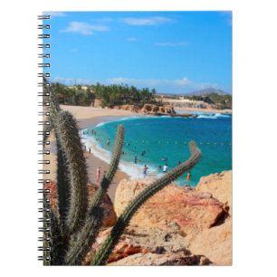 Cuaderno Cactus en cumbre rocosa sobre la playa de Sandy