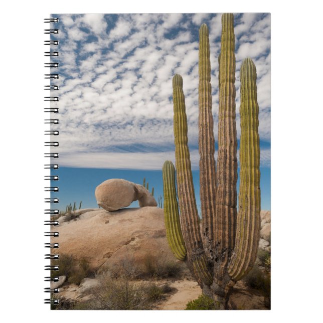 Cuaderno Cactus En Escenario Desértico (Frente)