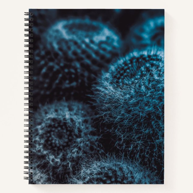 Cuaderno Cactus oscuro (Anverso)