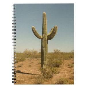 Cuaderno Cactus solitario