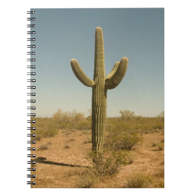 Cuaderno Cactus solitario (Frente)