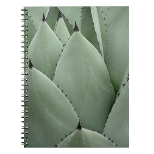 Cuaderno Cactus verdes