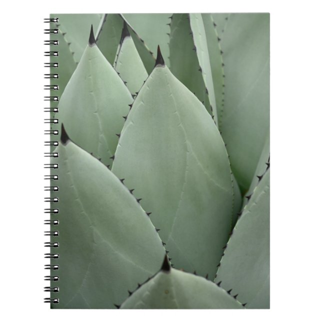 Cuaderno Cactus verdes (Frente)