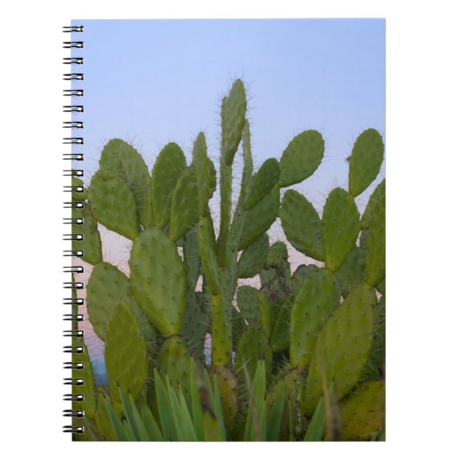 Cuaderno Cactus y sisal en Bosque Seco (Frente)