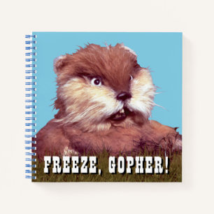 Cuaderno Caddyshack   ¡Congelación, Gopher!