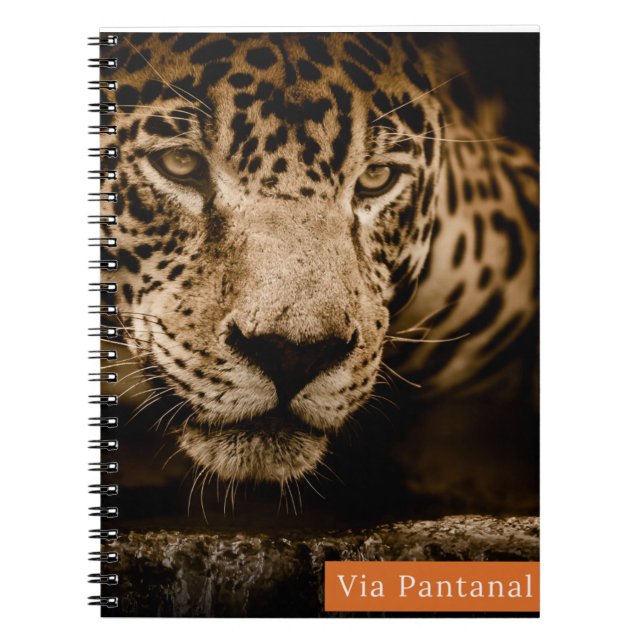 Cuaderno Caderno Via Pantanal Onça (Frente)