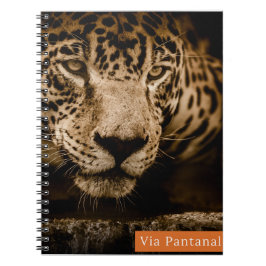 Cuaderno Caderno Via Pantanal Onça