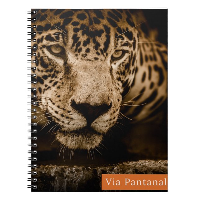Cuaderno Caderno Via Pantanal Onça (Frente)