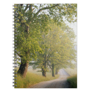 Cuaderno Cades Cove Grandes Montañas Humeantes, TN