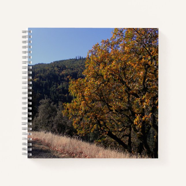 Cuaderno Caer en las montañas...... (Anverso)