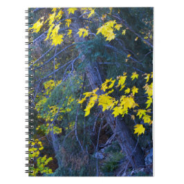 Cuaderno Caer en las montañas 6