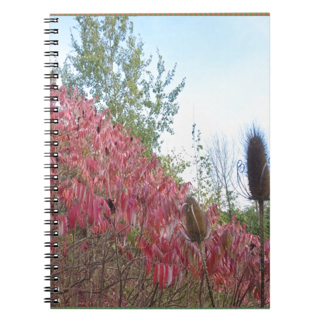 Cuaderno Caída caliente de Goodluck de la impresión (Frente)