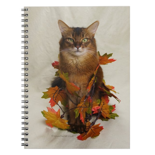 Cuaderno Caída deja gato somalí (Frente)