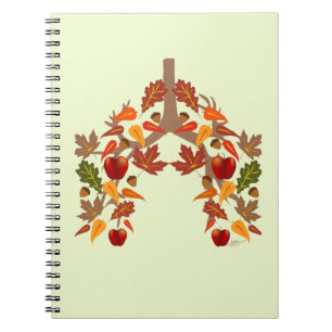 Cuaderno Caída del CF