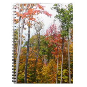 Cuaderno Caída en la colorida fotografía de otoño en el bos
